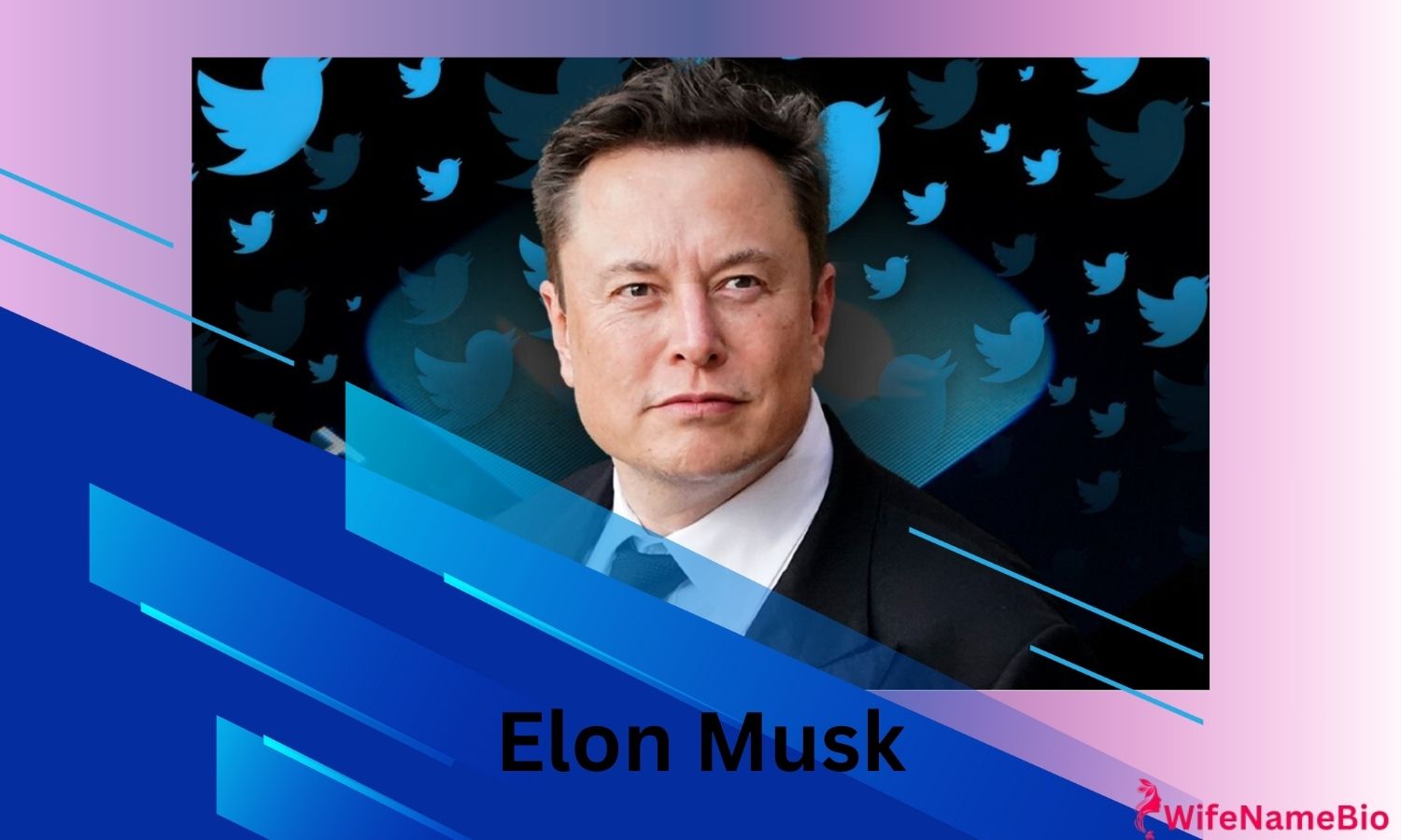 ELON Musk Bio
